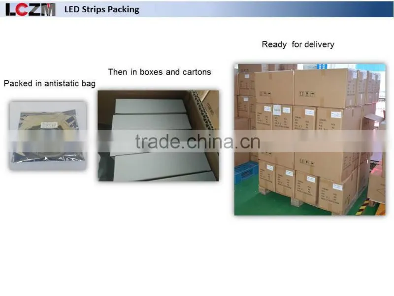 Decoration LED strip 3528 SMD 60leds/meter Red IP 68
