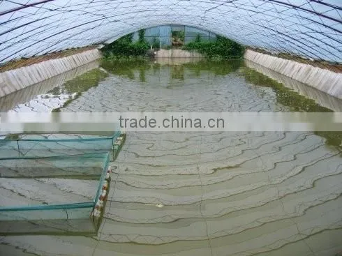 the most simple indoor fish farming