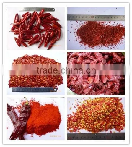 chili chopped 2-4mm with excellent quality for sale