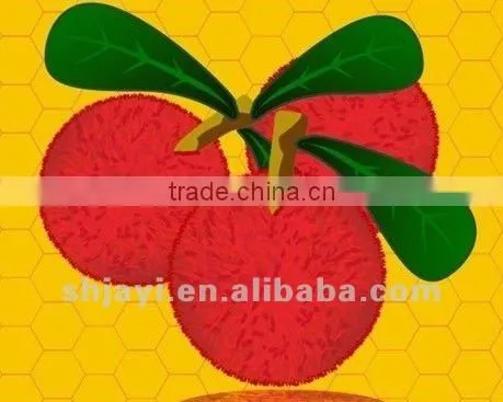 Hot Sale Formula Waxberry sour milk