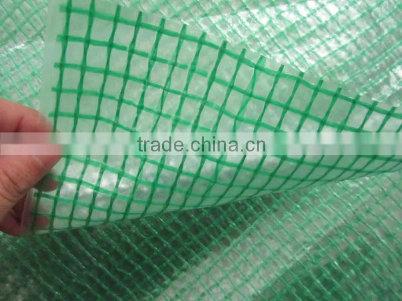clear green pe tarpaulin agricultural ground cover