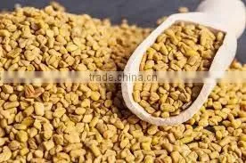 FENUGREEK SEEDS