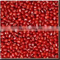 Green Mung Beans In China