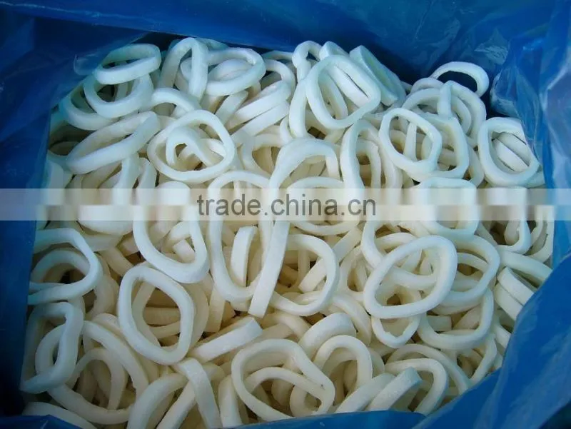 frozen squid tube