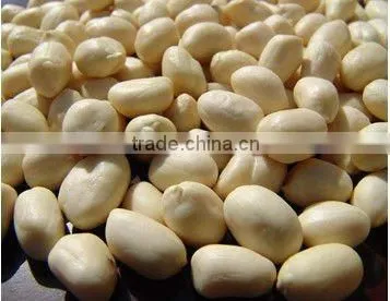 Chinese shandong new crop raw peanut kernels