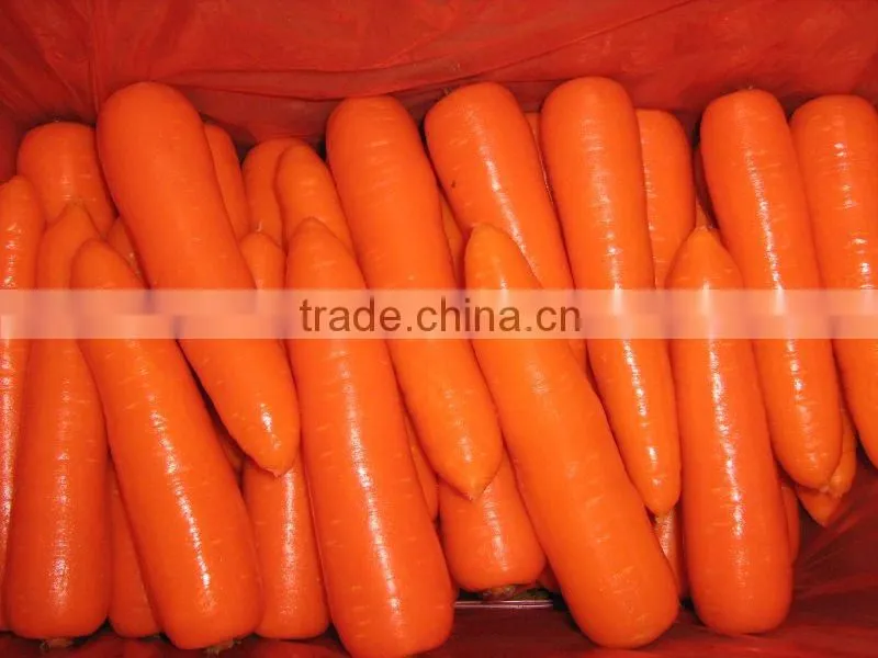Sell Carrot