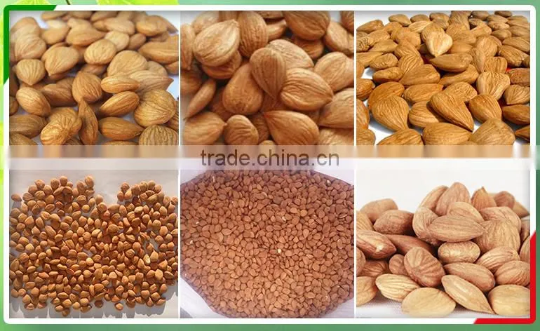 Apricot Kernels/ Bitter and Sweet Apricot Kernels