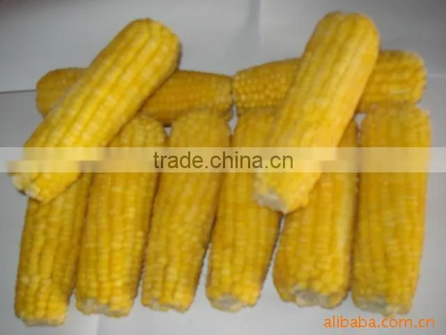 2016 new crop frozen IQF sweet corn cob