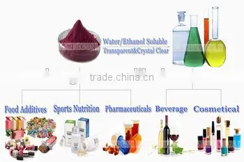 Free Sample Sex Supplement Natural and Effective Maca Root Extract Powder
