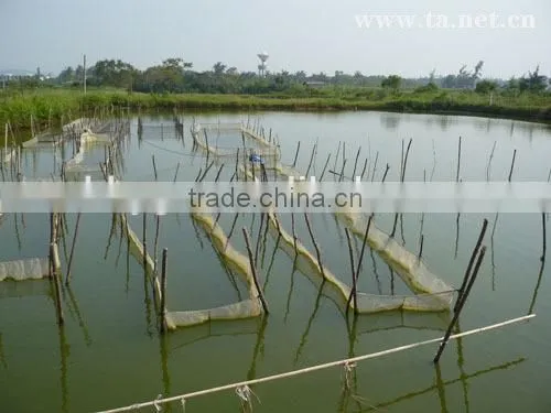 Tea Seed Meal/Cake/Powder/Pellet for Aquaculture, Organic Fertilizer, Eco-pesticides, etc.
