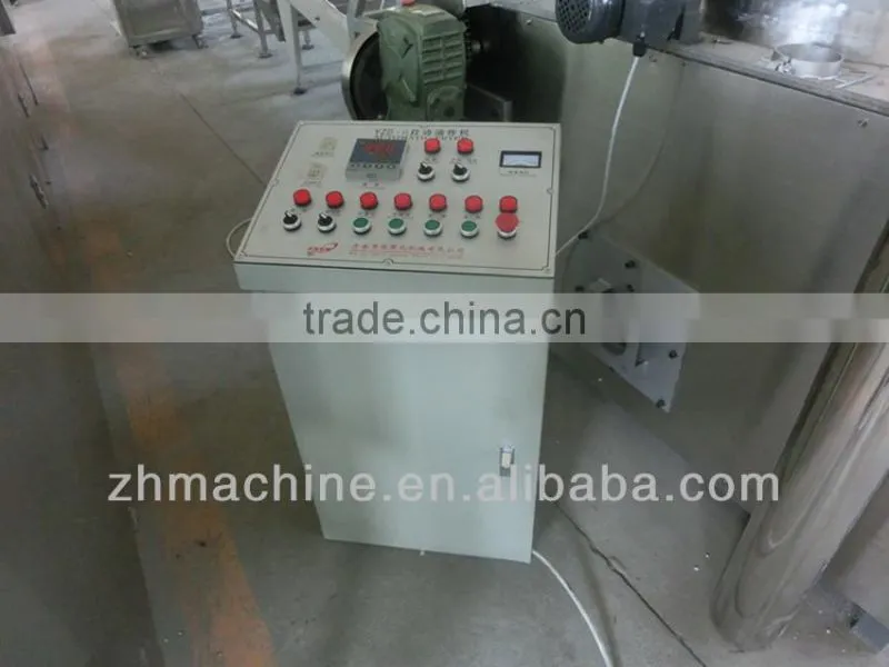 2013 top sell Automatic snack Fryer