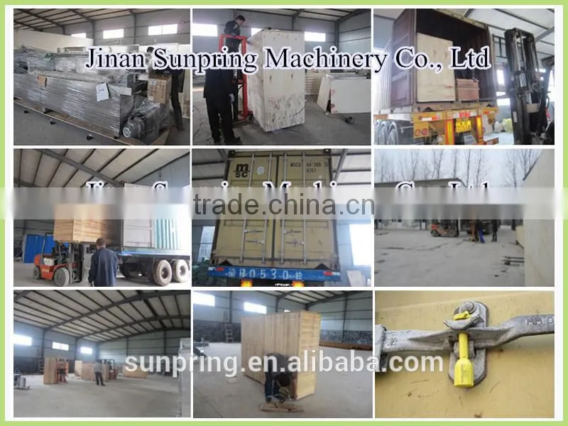 Rice Chips Rice Bites Extruder Making Machine
