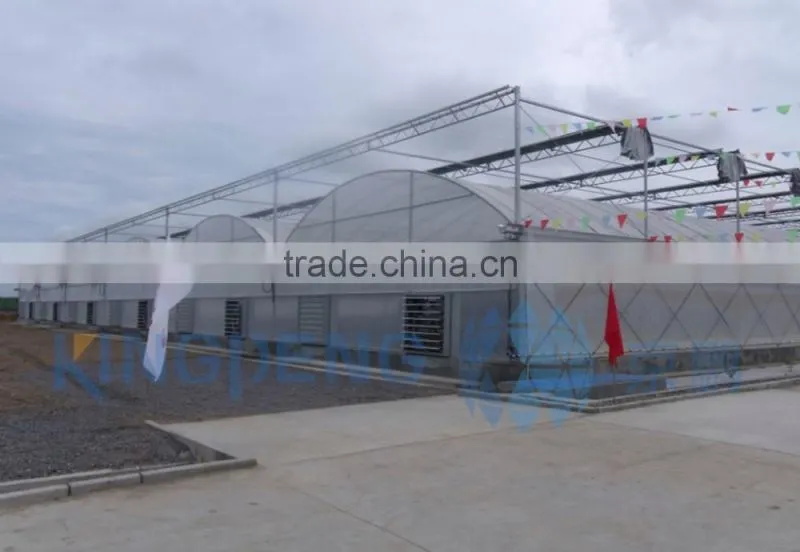 UV resistant plastic film greenhouse