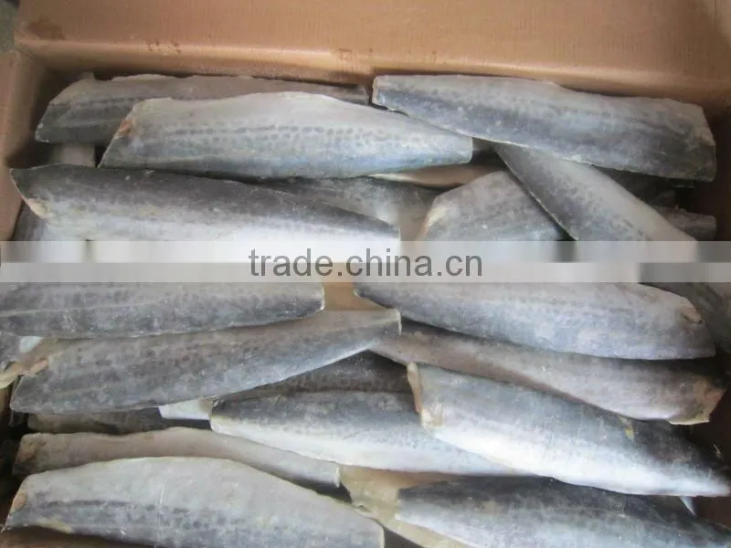 spanish mackerel fillet skin-on