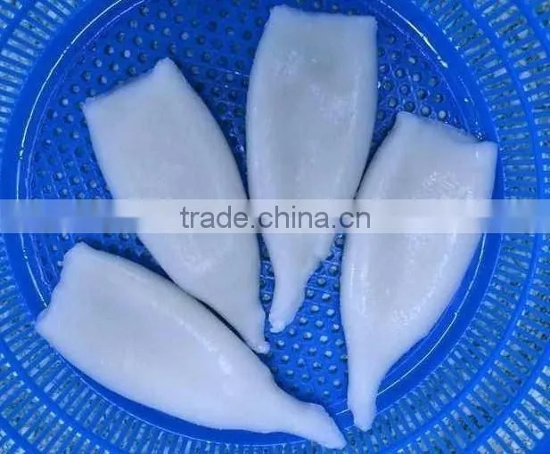Frozen Squid Tube U10