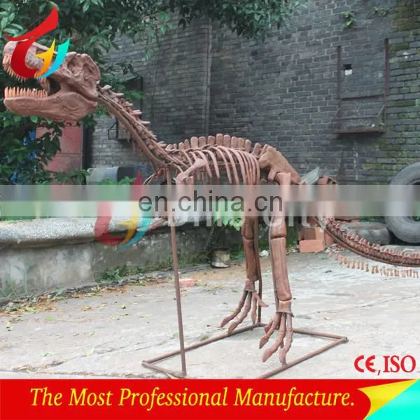 3m Length Life Size Fibrglass Realistic T-rex Dinosaur Fossils