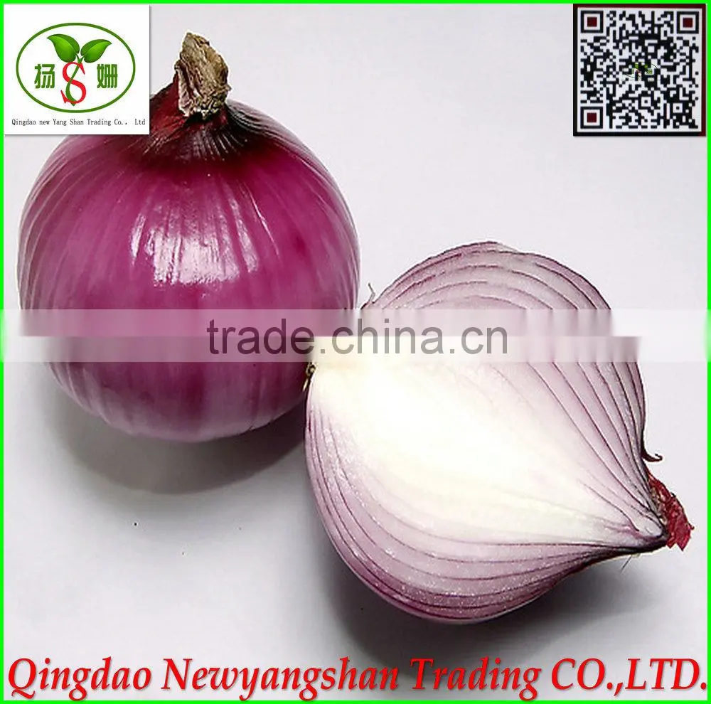 Red onion /yellow onion/purple onion exports are of good quality