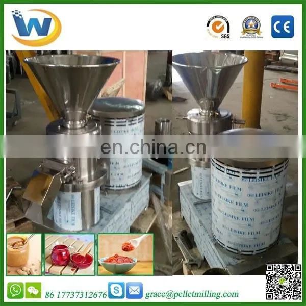 stainless steel apple/pear/mango/fruit/vegetable washing/cleaning/processing machine/equipment