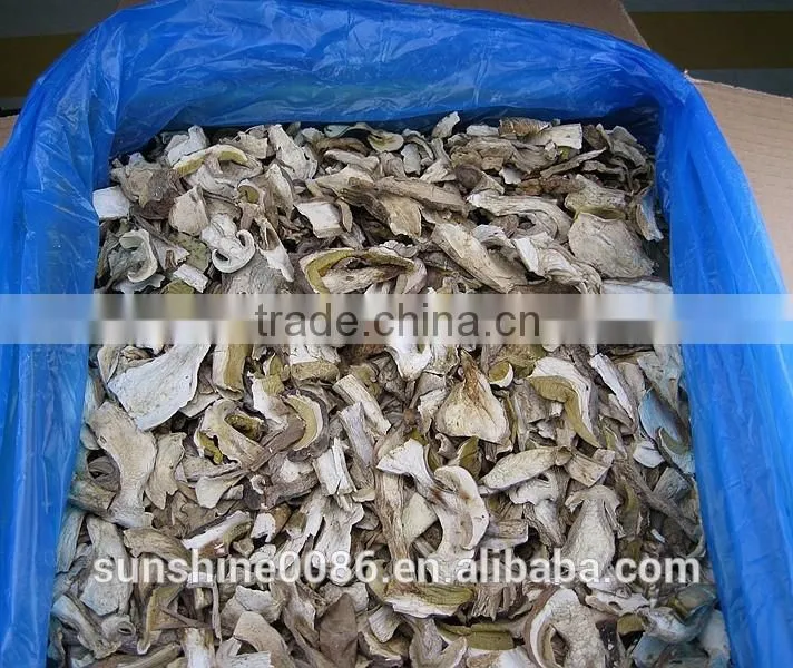 High Quality High Quality Dried Boletus Mushroom in Yunnan