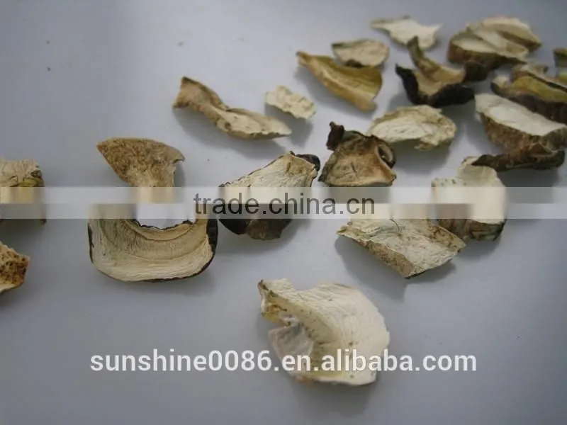 Wild dried white porcini mushroom