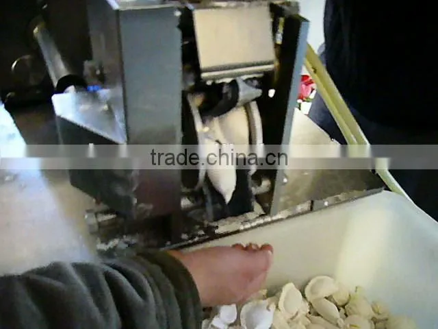 Dumpling Making Machine