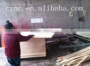 poplar plywood