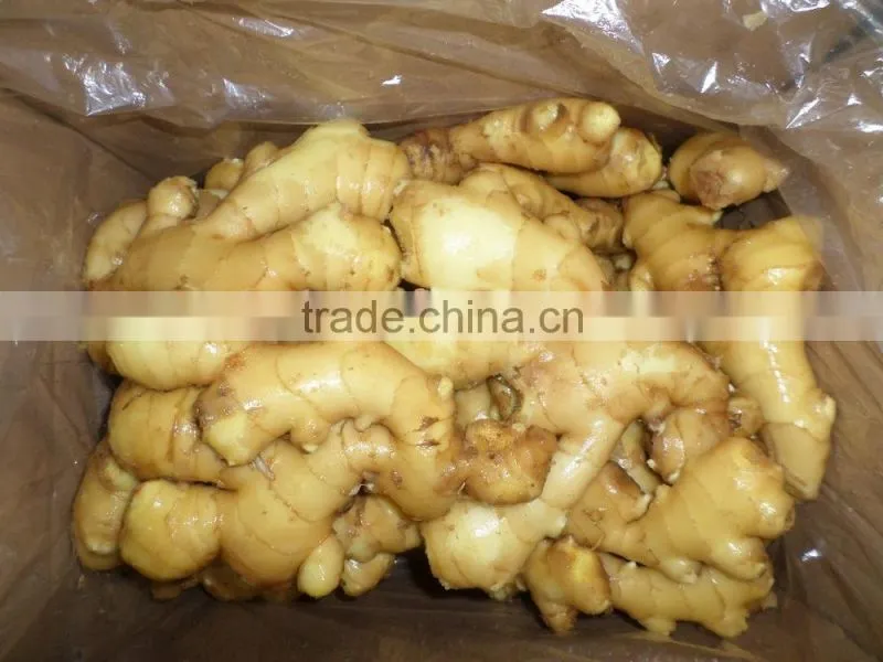 2015 ginger very best quality