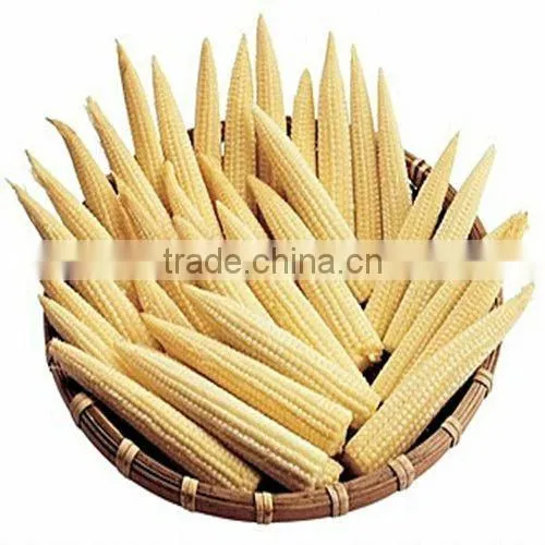 price canned baby corn in glass jar with top quality