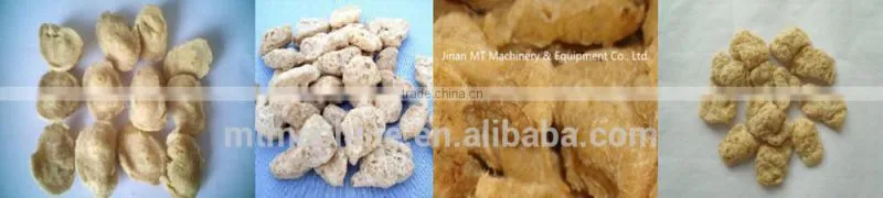 twin screw soybean protein machine in China