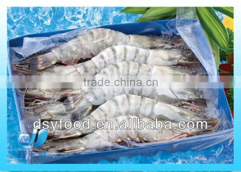 Frozen large size tiger shrimp/pawn