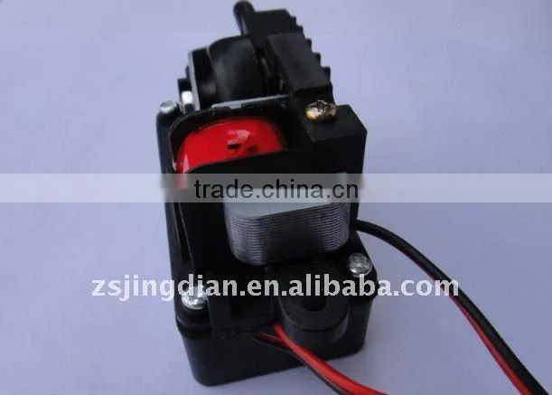 Ozone air pump