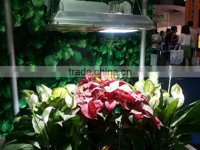 electrodeless discharge induction lamp with CE