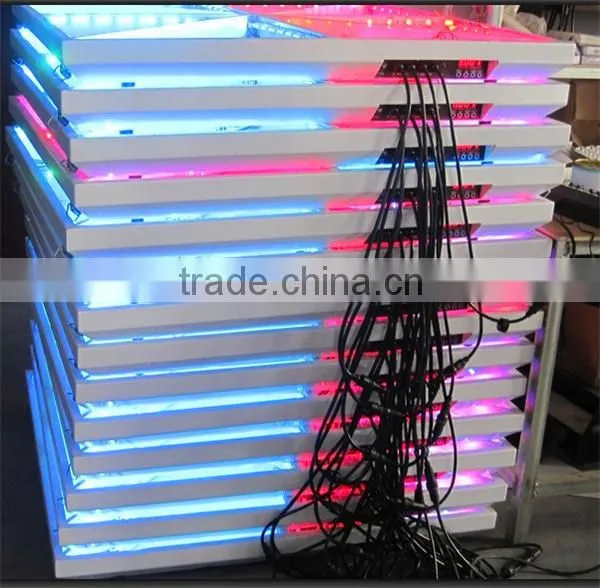 Interactive led dance floor