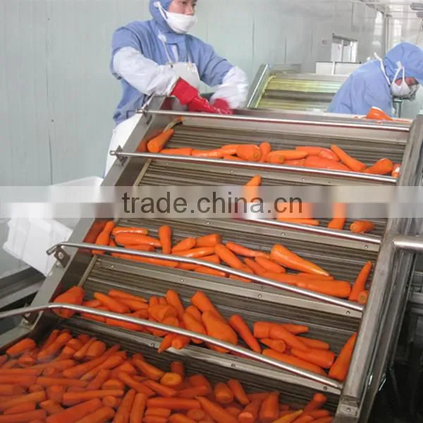 Frozen Vegetables Iqf Carrot Diced/sliced/ Strips