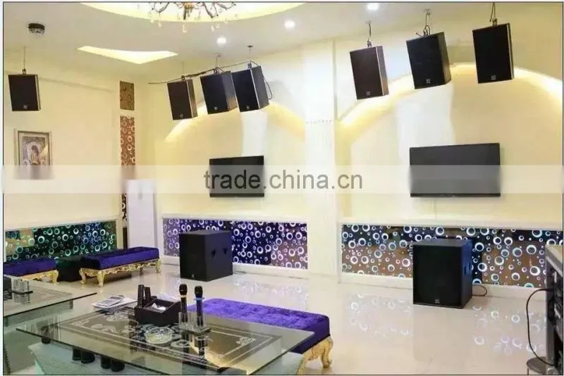 Single 10" 600W speaker design tw audio line array speaker box