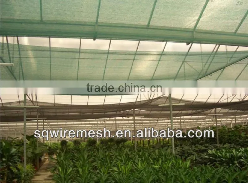 Out Door NEW HDPE sun shade net made in China