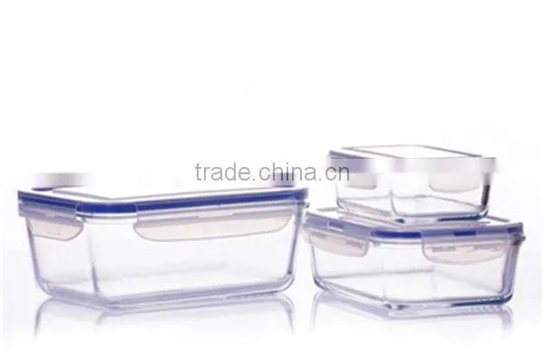 Reusable Picnic Glass Food Containers Set