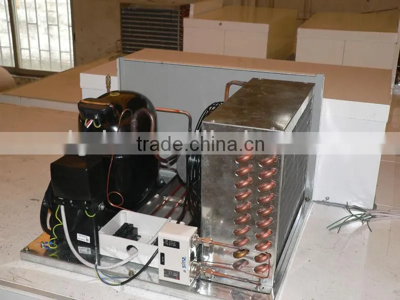 Indoor Ice bin with auto defrost system