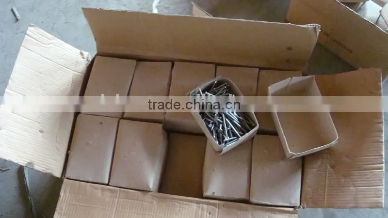 Bright smooth shank common iron nail