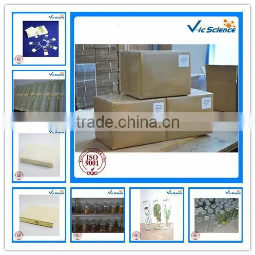 Medical Science Educational prepared slide wooden slides box