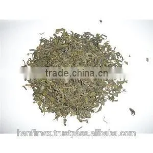 High quality VietNam green tea