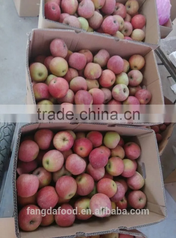paper bagged qinguan apple