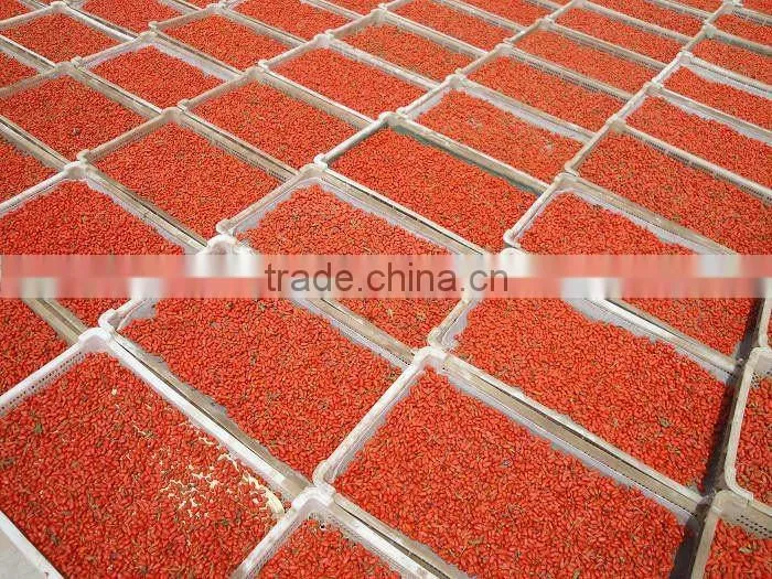 dried wolfberry dry goji berry