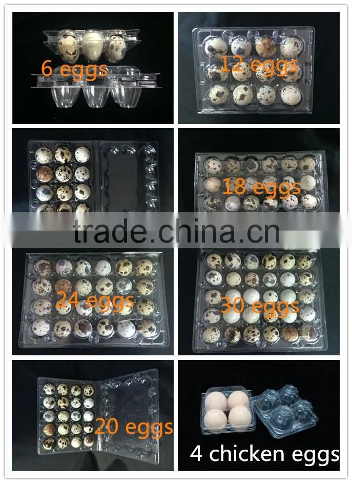 2016 hot-sales and lowest price quail egg packaging tray for quail eggs