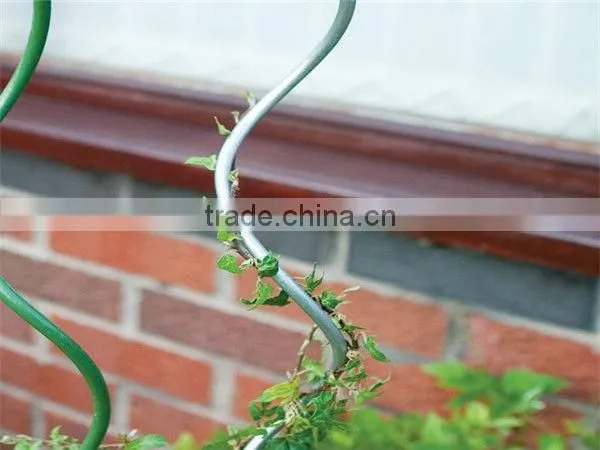 tomato stake