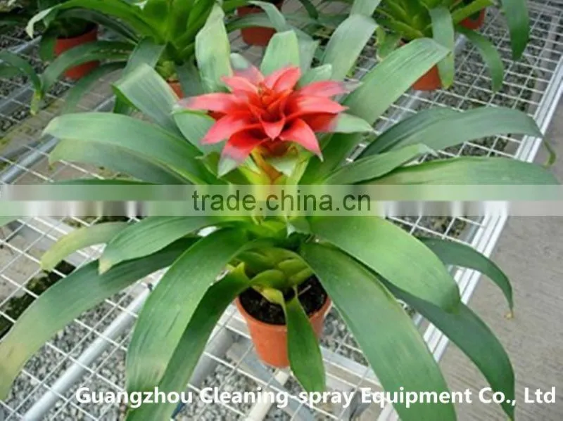 Micro irrigation bubbler for watering