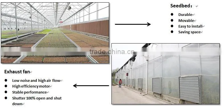used commercial glass greenhouse for sale