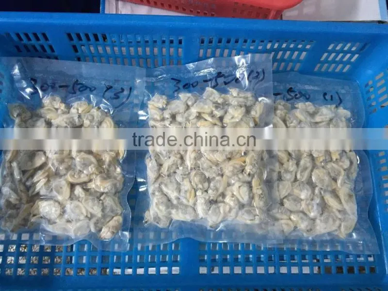 high quality frozen short necked clam meat