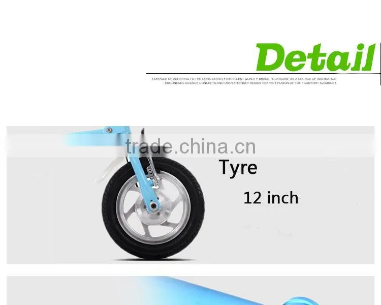 electric folding bicycle with brushless hub motor
