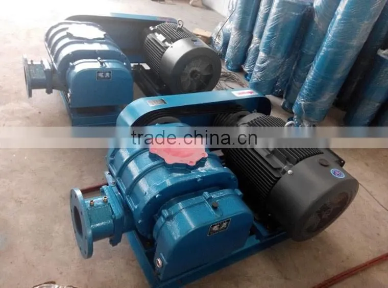 Ventilation Fan Small Roots Blower /Roots air blower